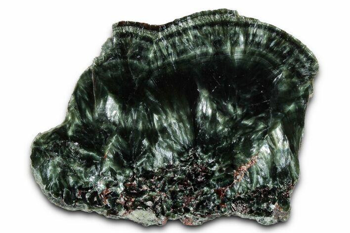 Polished Seraphinite Slab - Korshunovkiy Mine, Siberia #354274